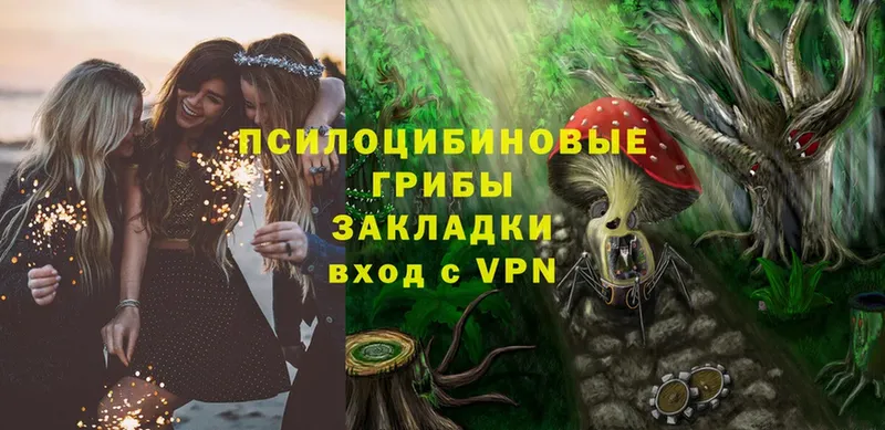 дарнет шоп  Дзержинский  Псилоцибиновые грибы Psilocybine cubensis 